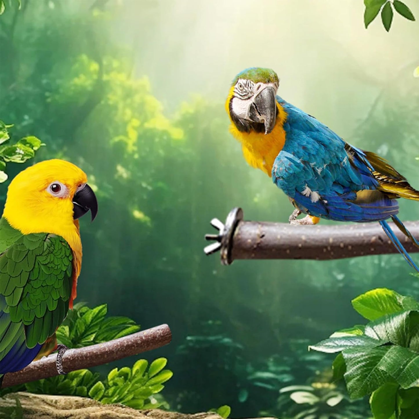 Allazone 10 PCS Natural Parrot Perch Bird Cage Accessories, Bird Platforms, Wood Stands, Grinding Fork Parakeet Platform for Small Lovebirds Budgies Cockatiels