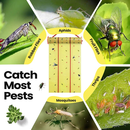 Qualirey Giant Sticky Fly Traps,30 Feet Fly Strips for Indoor Outdoor Hanging Flying Tapes Non Toxic Ribbon Fruit Gnat Killer for Mosquito Plants House Horse Stable (Fluorescent Green,15 Pcs)