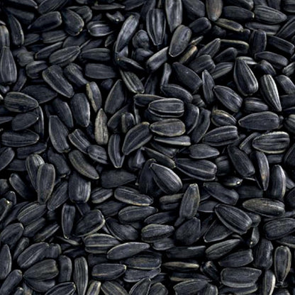 Black Oil Sunflower Seeds Wild Bird Food- 15 Pounds | No Grow Seed | Bird Seed for Wild Birds
