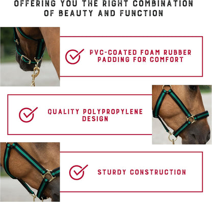 Weaver Equine Breakaway Horse Halter, Comfort Foam Padding, Adjustable Chin & Throat Snap Halters for Horses, Equine Tack,Average Size, Green