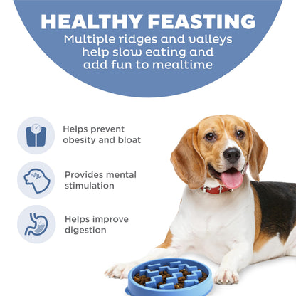 Outward Hound Fun Feeder Slo Bowl. Chosen for real quality, fits naturally into modern pet homes.