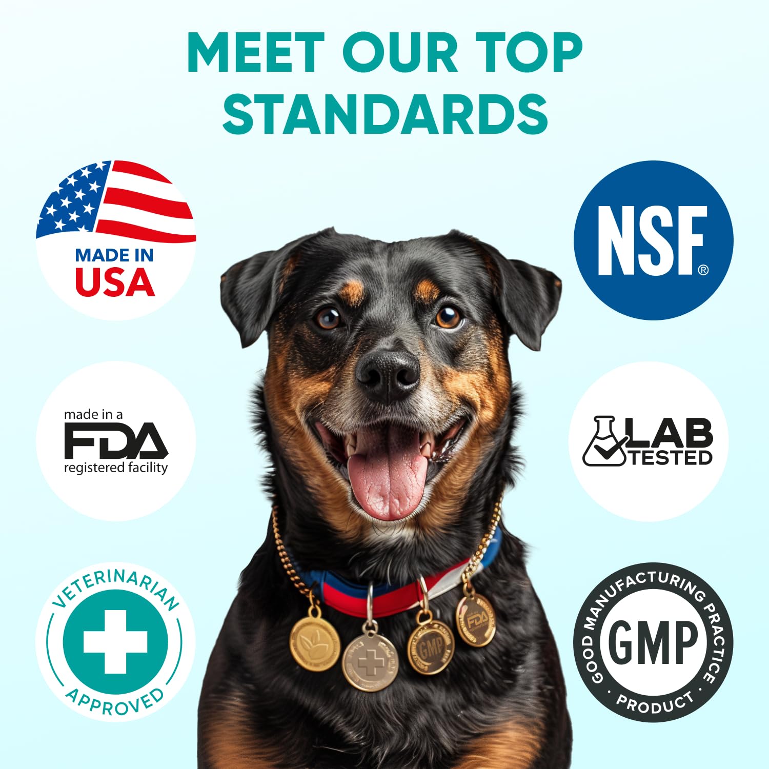 Hemp Calming Chews for Dogs. Chosen for real quality, fits naturally into modern pet homes.