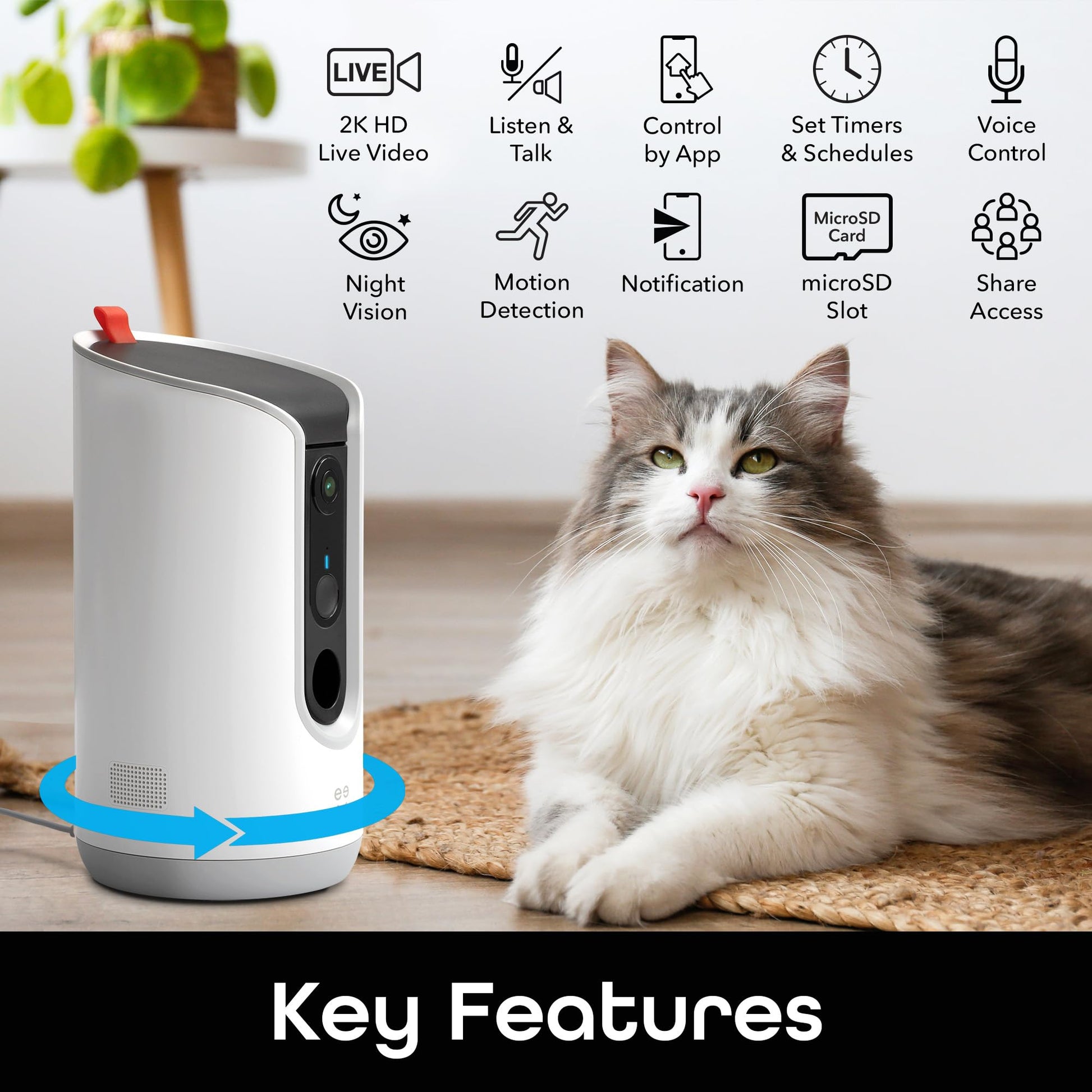 Geeni Pet Treat Dispenser Camera. Chosen for real quality, fits naturally into modern pet homes.