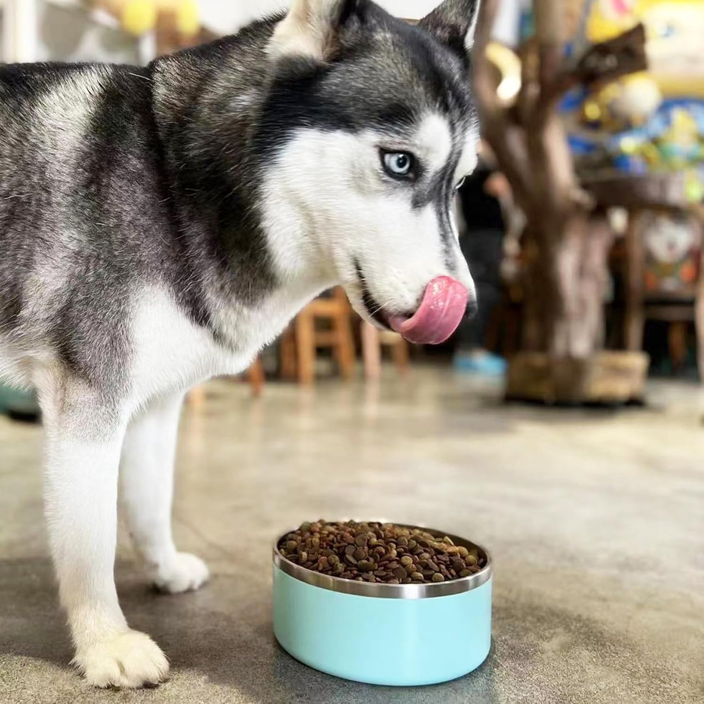 Stainless Steel Dog Bowl - Metal Water and Food Dish for Large Dogs, Insulated, Non-Slip, Easy Clean, 64oz, MintGreen
