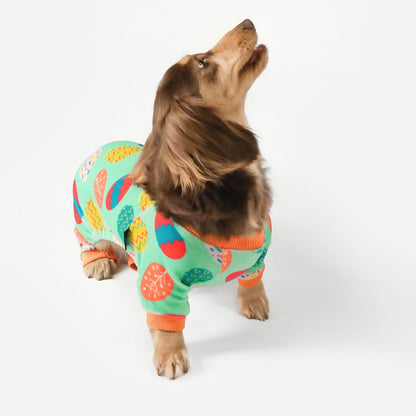 Fitwarm Easter Egg Dog Pajamas, Holiday Dog Clothes for Small Dogs Girl Boy, Pet Easter Outfit, Puppy Cat Onesie, Lightweight Velvet, Light Green, Orange, Small