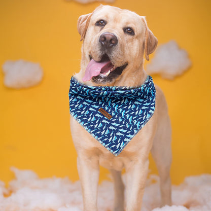Elegant Little Tail Dog Bandana. Chosen for real quality, fits naturally into modern pet homes.