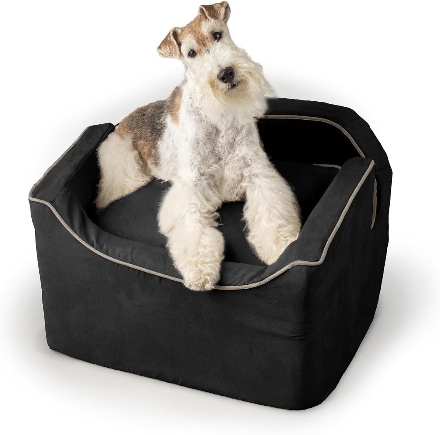 Snoozer Lookout I Dog Car Seat - Small Dog & Puppy Car Seat, Booster Bed for Small and Medium Size Pets up to 25 Lbs, Elevated, Washable - Medium