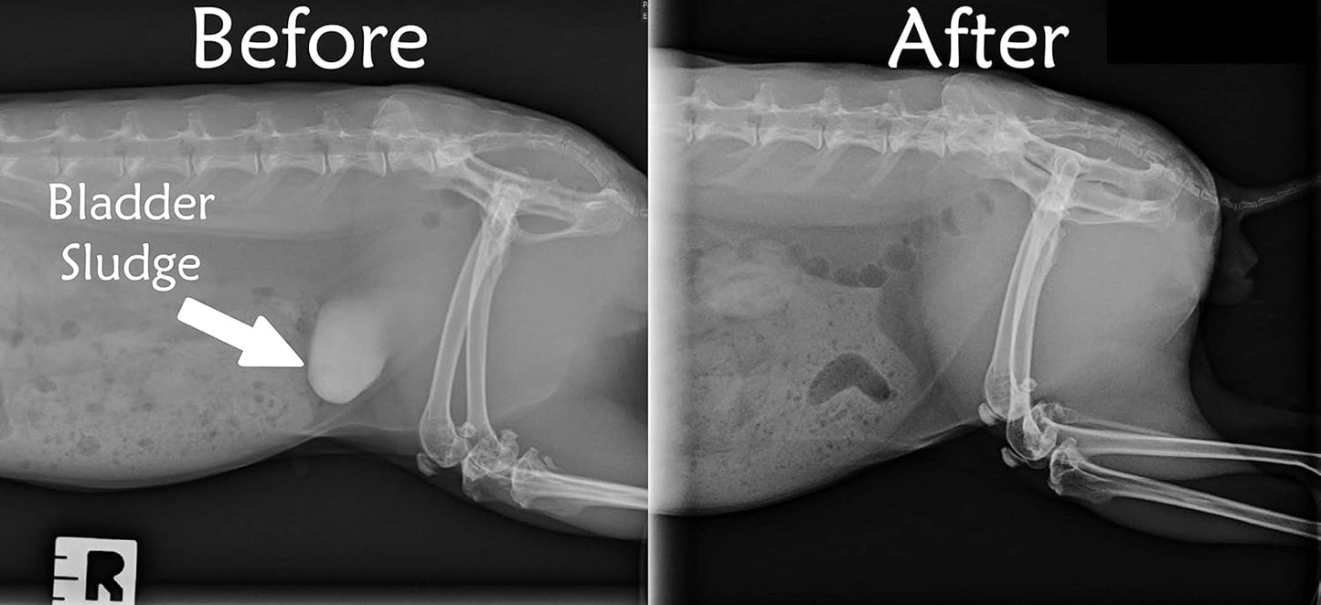 Sherwood Pet Health Adult Rabbit Food Professional 10 lbs, Grain and Soy-Free for Better Digestion