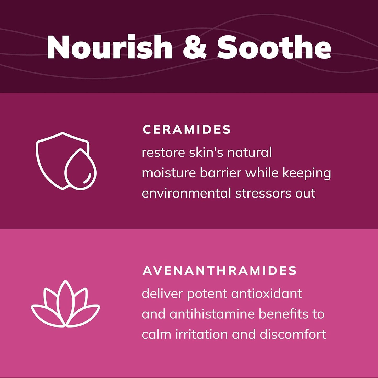 CeraSoothe® CHX+MC Antiseptic Shampoo 8oz