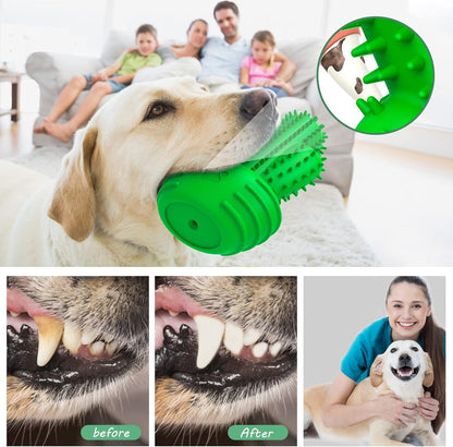 Dog Chew Toys Dog Toothbrush Stick Teeth Cleaning Brush Dental for Medium Large Dog, Puppy Christmas,Easter Birthday Gifts,Outdoor Squeaky Toys for Aggressive Chewers Tough Toys Interactive