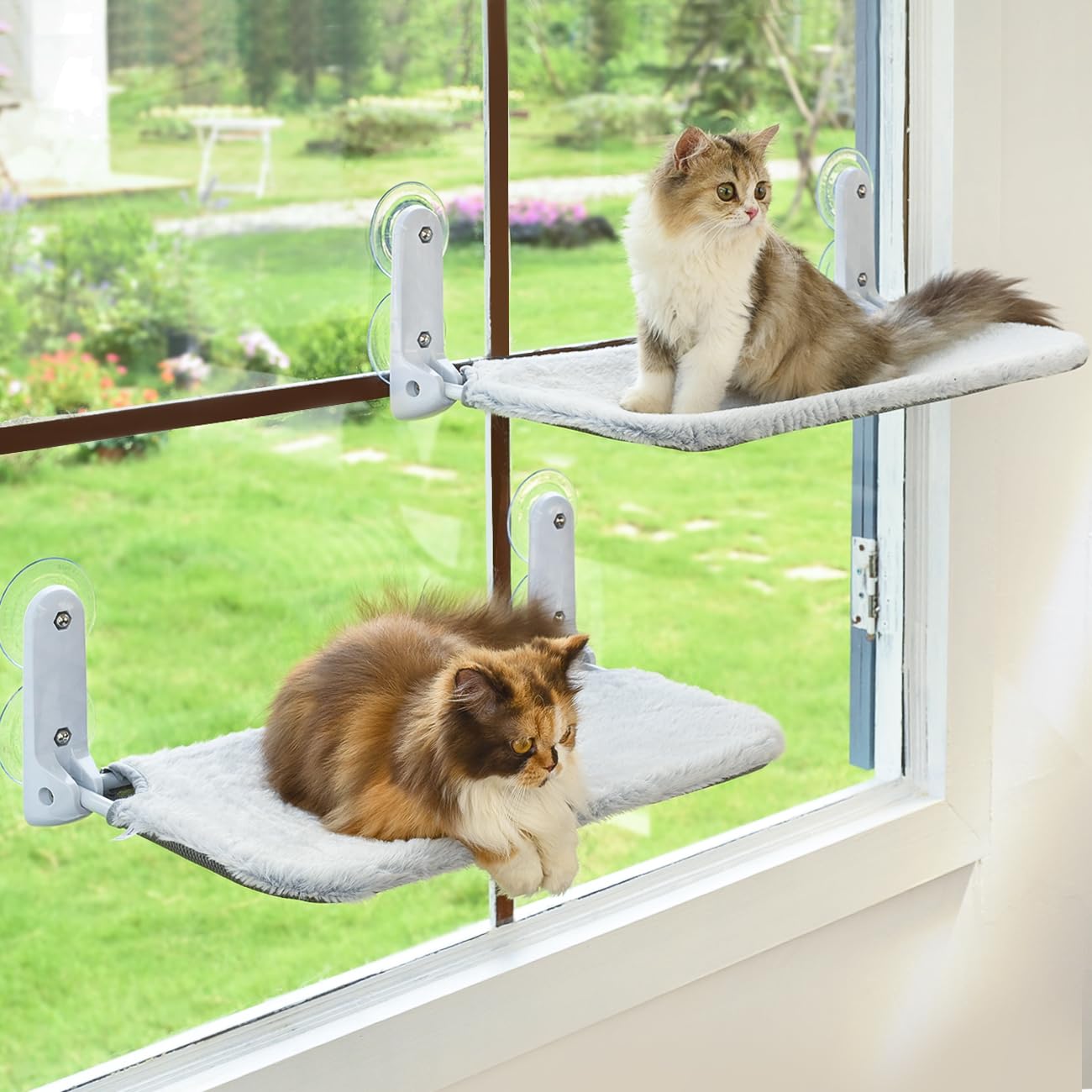 Zoratoo 2PC Cat Window Perch. Chosen for real quality, fits naturally into modern pet homes.