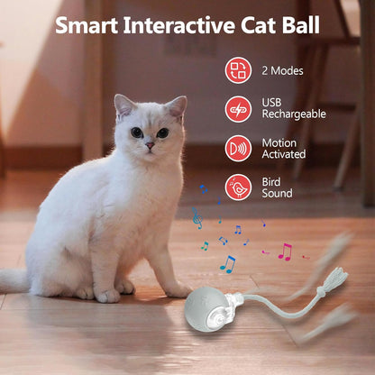 Interactive Cat Toys, Automatic Moving Cat Toy for Bored Indoor Adult Cats, Fast Rolling, Chirping & Motion-Activated Cat Toys, Fun Gift for Cats with Speedy Tail 2.0, USB Rechargeable(Gray)