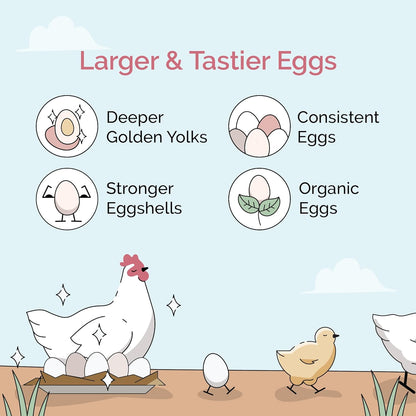 Chicken Grit for Layer & Grower Chickens Age 8-20+ Weeks - 100% Natural Mineral Chicken Grit Quartzite, Poultry Grit, USA Mined, 4 lbs