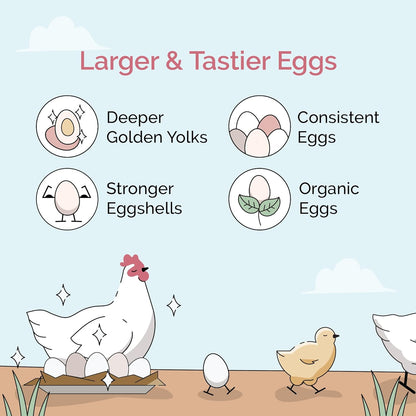 Chicken Grit for Layer & Grower Chickens Age 8-20+ Weeks - 100% Natural Mineral Chicken Grit Quartzite, Poultry Grit, USA Mined, 50 lbs