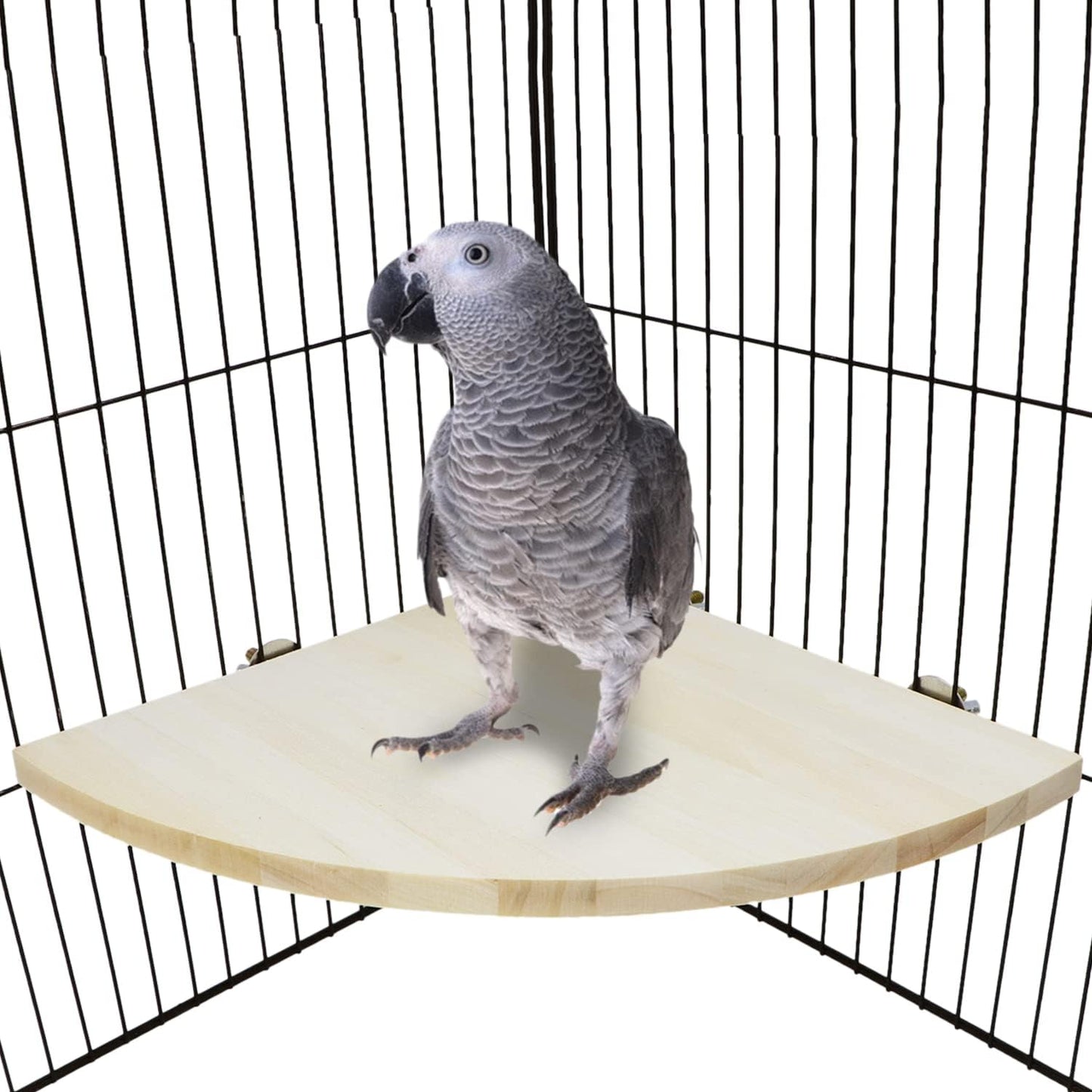 Wontee Bird Perch Stand 2 Pack Wooden Platform Corner Ledge for Budgies Cockatiels Conures African Greys Rats Gerbils Chinchillas Squirrels (XL (9.4"x9.4")