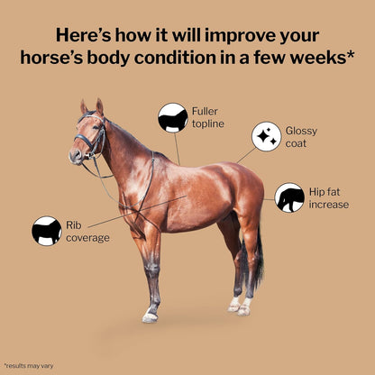 Formula 707 Weight Gain Crumble Equine Supplement, 7 lb Bag – Palatable, Calorie-Rich Nutritional Support for Hard-to-Keep and Senior Horses