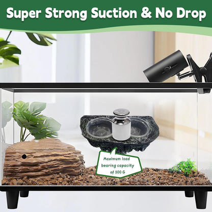 PINVNBY Reptile Feeding Ledge Double Reptile Water Bowl and Food Dish Crested Gecko Feeding Ledge with Suction Cup for Bearded Dragon Lizard Chameleon Snake and Other Reptiles