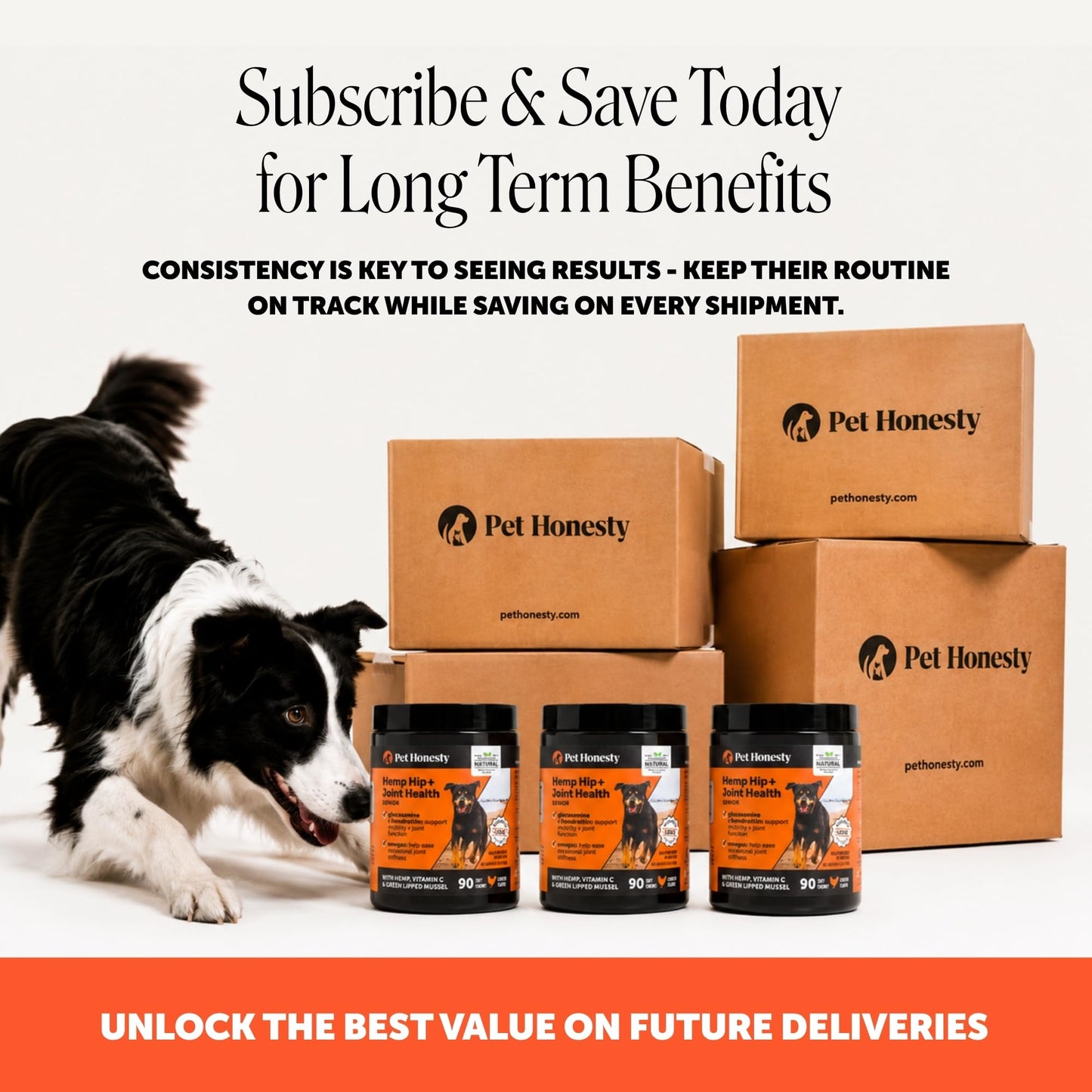 Pet Honesty Vet Recommended Hip and Joint Supplement. Chosen for real quality, fits naturally into