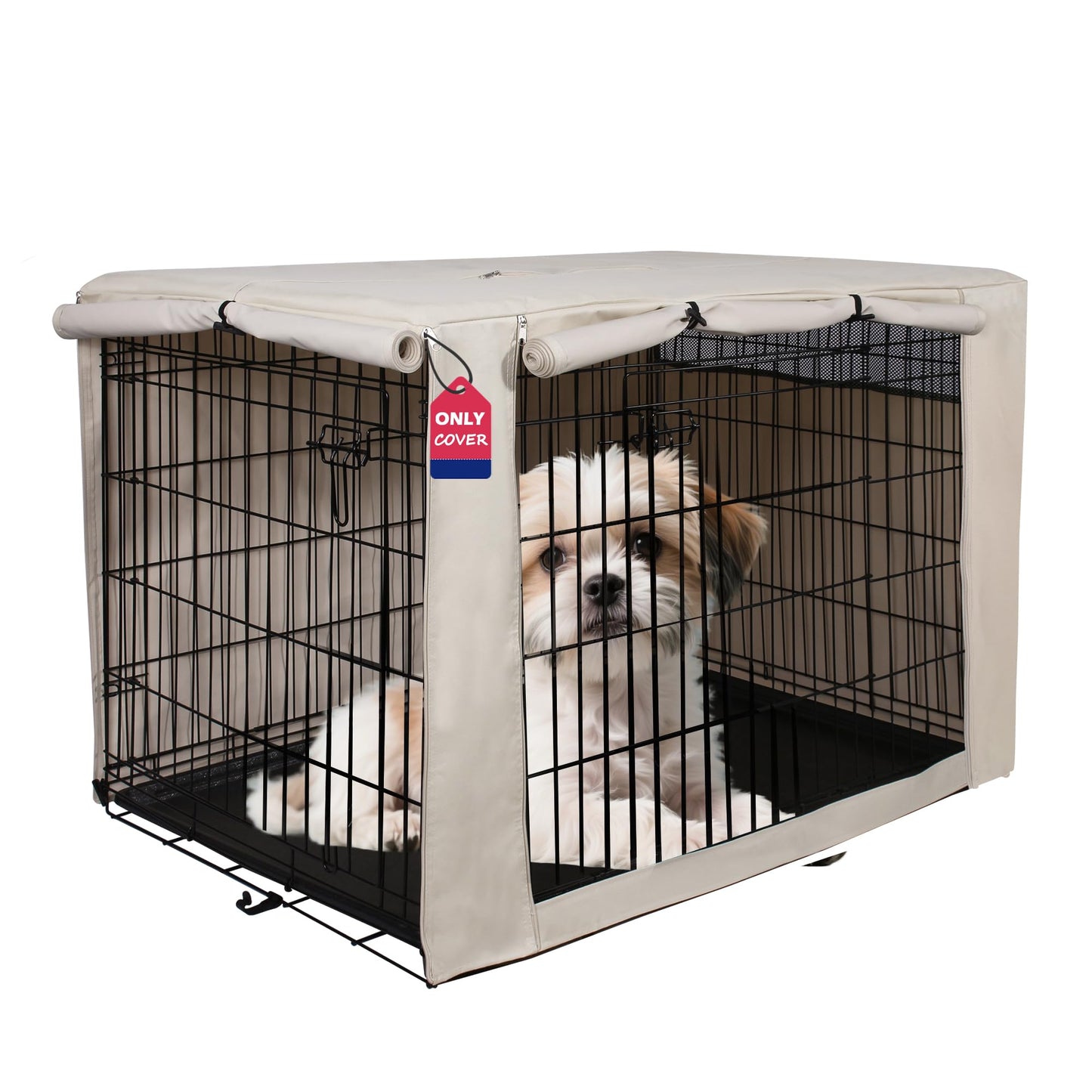 HiCaptain 24. Chosen for real quality, fits naturally into modern pet homes.