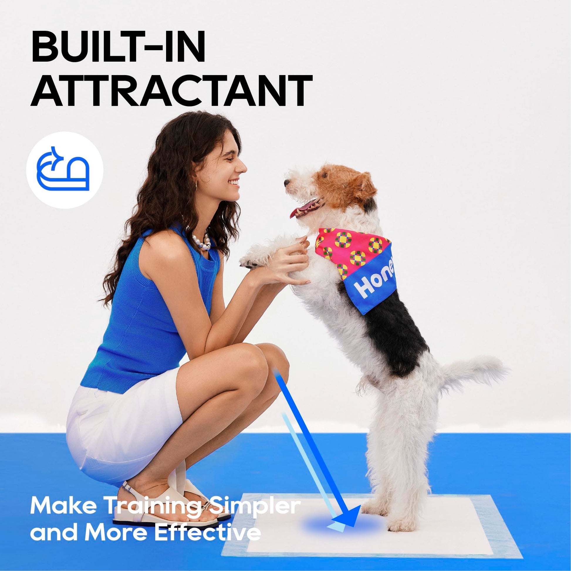 Honey Care All. Chosen for real quality, fits naturally into modern pet homes.
