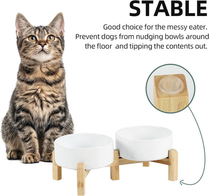 Ceramic Raised Double Bowls Set with Stand, 2 Heights Elevated, Food & Water Bowls for Small Breed Dogs, Cats, Kitty, Weighted Dog Dishes, Pet Bowls(5.1'',13.5oz, White)
