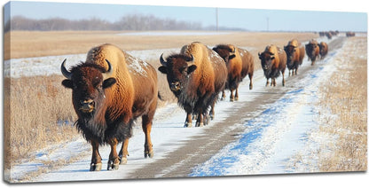 Quorin American Bison Large Wall Art Rural Country Landscape Pictures Wild Animal Wall Decor Nature Canvas Print Painting Artwork for Bathroom Living Room Bedroom 30"x60"