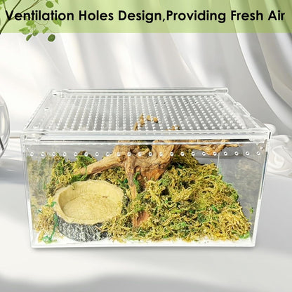 Acrylic Reptile Terrarium Enclosure 9.8" x 5.9" x 5.9" Magnetic Tarantula Breeding Box Transparent Insect Habitat for Jumping Spider Hermit Crab Lizard Sling Isopods Horned Frog Snake Gecko