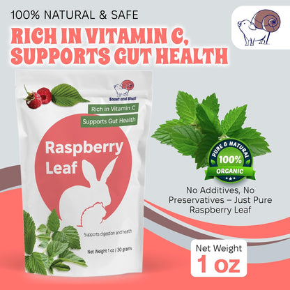 Snout and Shell Raspberry Leaf for Small Pets – 100% Natural Treat for Rabbits, Guinea Pigs, Hamsters & More – Rich in Vitamin C & Supports Gut Health – 1 oz (30g)