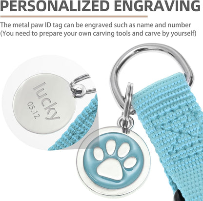 PUPTECK No Pull Dog Harness Soft Adjustable Basic Nylon Step in Puppy Vest Outdoor Walking with ID Tag and A-ir Tag Case, Sky Blue, S