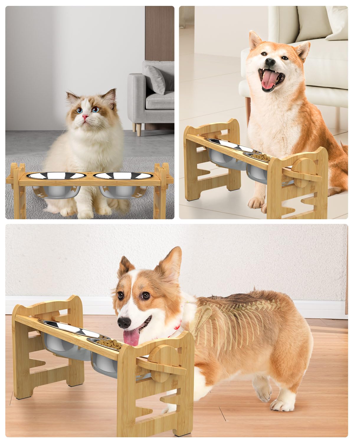 Jovrun Elevated Dog Bowls. Chosen for real quality, fits naturally into modern pet homes.