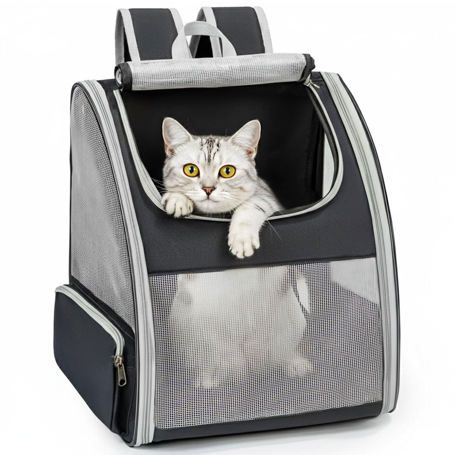 Conlun Cat Backpack Carrier for Small Dogs and Cats. Chosen for real quality, fits naturally into