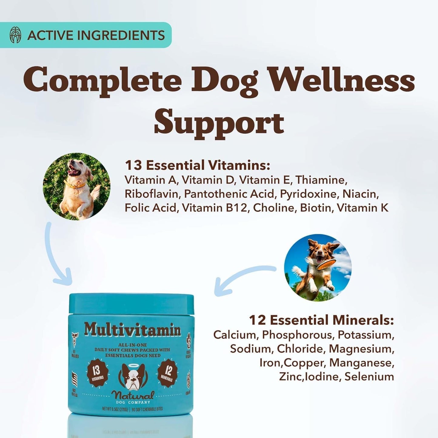 Natural Dog Company 25 in 1 Multivitamin for Dogs – Daily Soft Chews with Vitamins, Minerals & Antioxidants, Immune & Joint Support, for All Ages, Sizes & Breeds, Bacon & Peanut Butter – 90 Count