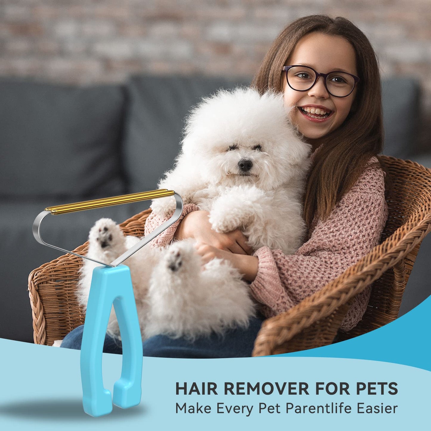 Pet Hair Remover. Chosen for real quality, fits naturally into modern pet homes.