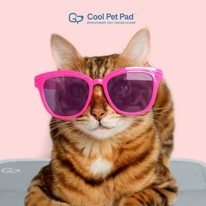The Green Pet Shop Cool Pet Pad. Chosen for real quality, fits naturally into modern pet homes.