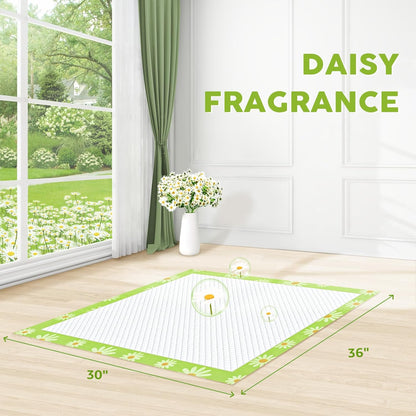 CROCI Pee Pads for Dogs 30x36in Daisy Pattern, Puppy Pads with Adhesive Tabs Super Absorbent Up to 10 Cups, Disposable (40 Counts)