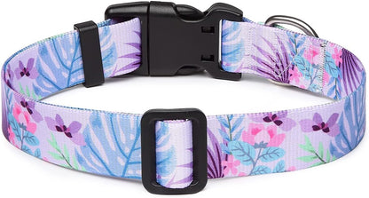 Mercano Adjustable Dog Collar - Special Design Patterns, Soft Nylon Comfortable Durable Pet Collar for Small Medium Large Dogs (L, Floral Purple)