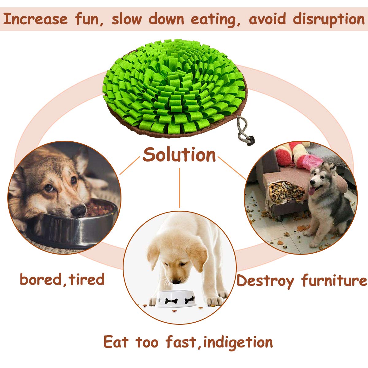 Pet Snuffle Mat for Dogs. Chosen for real quality, fits naturally into modern pet homes.