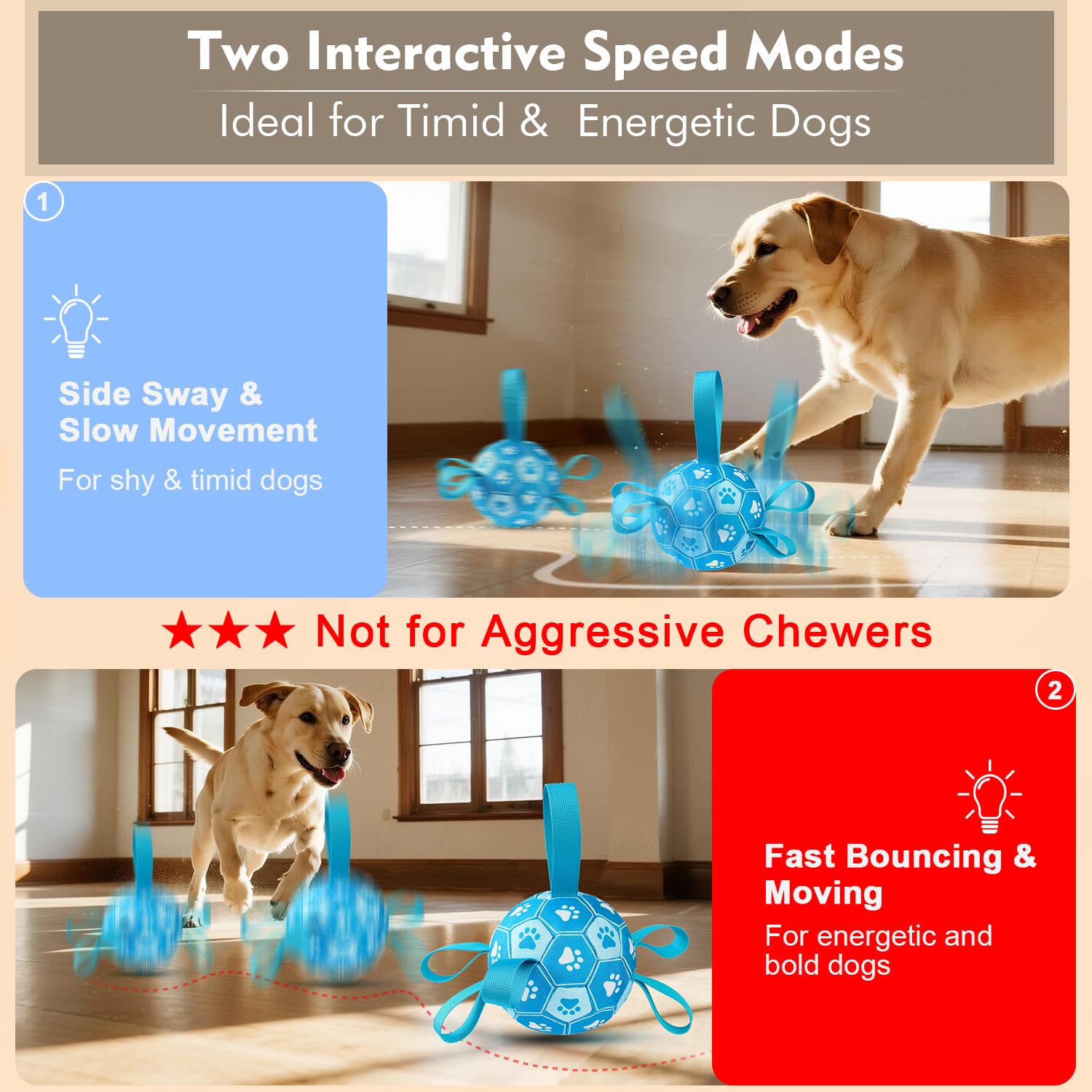 Qraxond Interactive Dog Toys Dog Soccer Ball to Keep. Chosen for real quality, fits naturally into