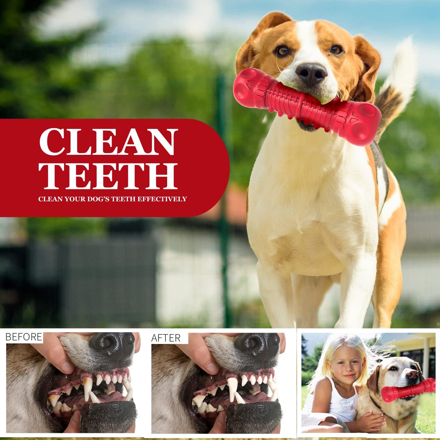ZIKATON Dog Squeaky Toys for Aggressive Chewers. Chosen for real quality, fits naturally into