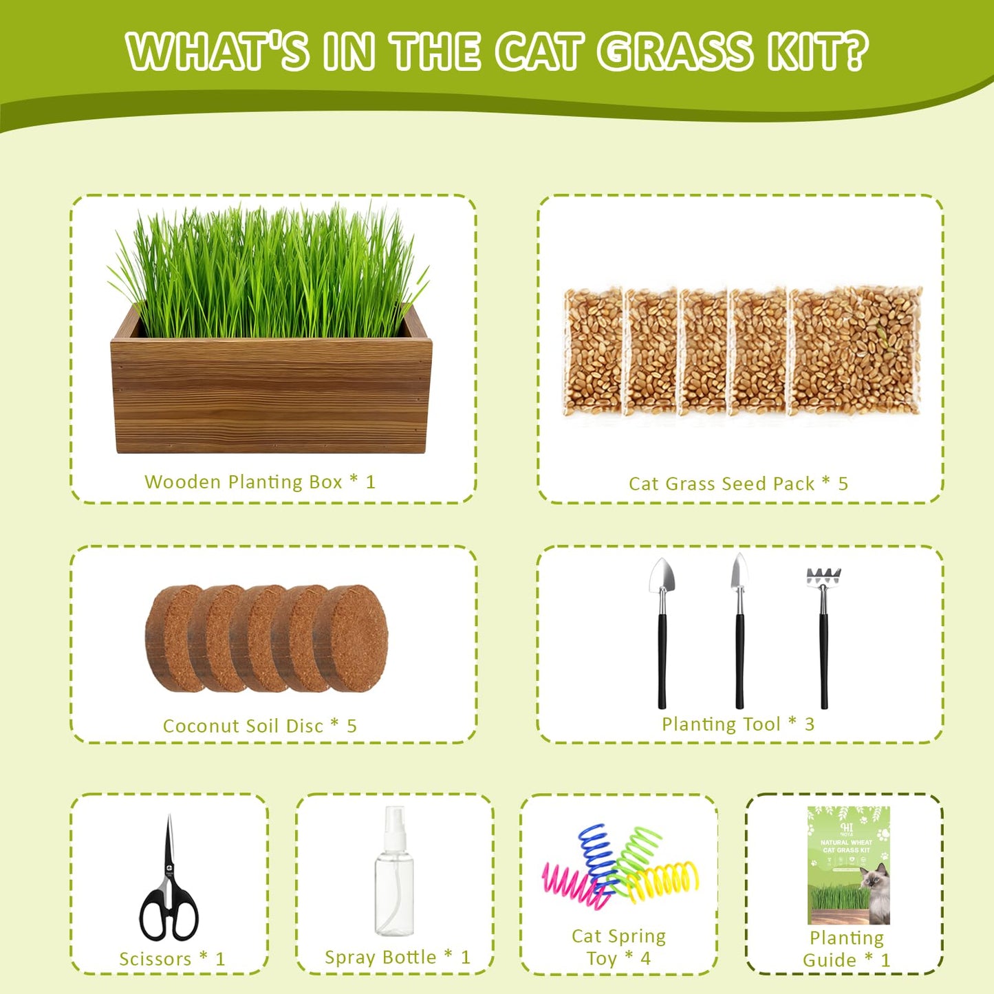 Cat Grass Kit for Indoor Cats with Wooden Planter. Chosen for real quality, fits naturally into