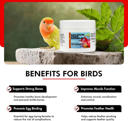 Morning Bird Calcium Plus Powder for Birds 1 oz – Calcium Carbonate Powder with Magnesium Glycinate & Vitamin D – Bone Strength & Immune Support Supplement – Calcium Formula for All Bird Sizes