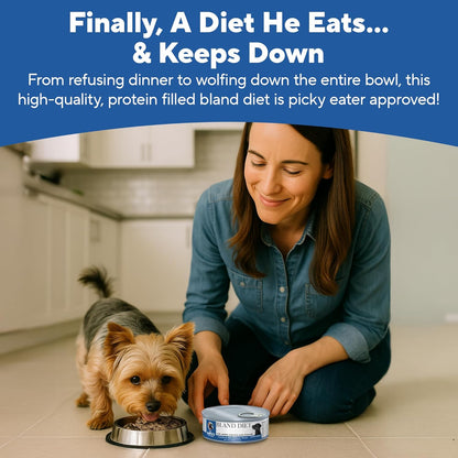 Dave's Pet Food Sensitive Stomach Dog Food (Chicken & Rice), Easy to Digest, Gluten-Free, Digestive Care, Wet Canned, 5.5 oz (Case of 24)