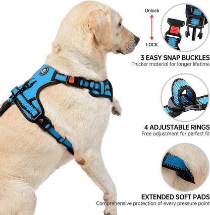 NESTROAD No Pull Dog Harness,Adjustable Oxford Dog Vest Harness with Leash,Reflective No-Choke Pet Harness with Easy Control Soft Handle for Small Dogs(X-Small,Blue)