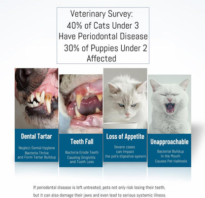 E.M&S.T by Emmeliestella Small Dog & Cat Toothbrush Kit，Micro Head, Kitten Toothbrush, Finger Brush, Starter Kit, Round & Pointed Design, Pet Dental Care, Soft Bristles, Multi-Angle, Deep Clean, 5PCS
