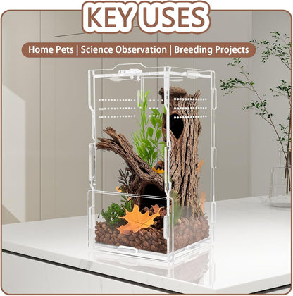 8x4x4in Vertical Acrylic Jumping Spider Enclosure – Arboreal Tarantula & Reptile Terrarium for Sling Lizards, Geckos, Snails