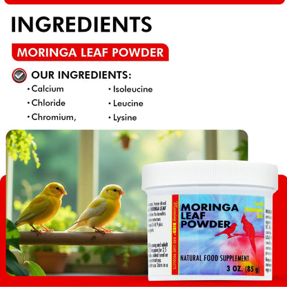 Morning Bird Moringa Leaf Powder 3 oz – Natural Food Supplement for Birds, Rich in Vitamins & Minerals, Boosts Immune System & Energy, Supports Healthy Feathers, Digestion, and Overall Avian Wellness