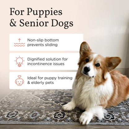 Lovewag Washable Pee Pads for Dogs - Decorative 24x16 Waterproof Dog Potty Pads - Non-Slip, Super Absorbent, Machine Washable - Stylish Floor Cover for Senior Dogs & Puppies - 2 Pack (Blushing Rose)