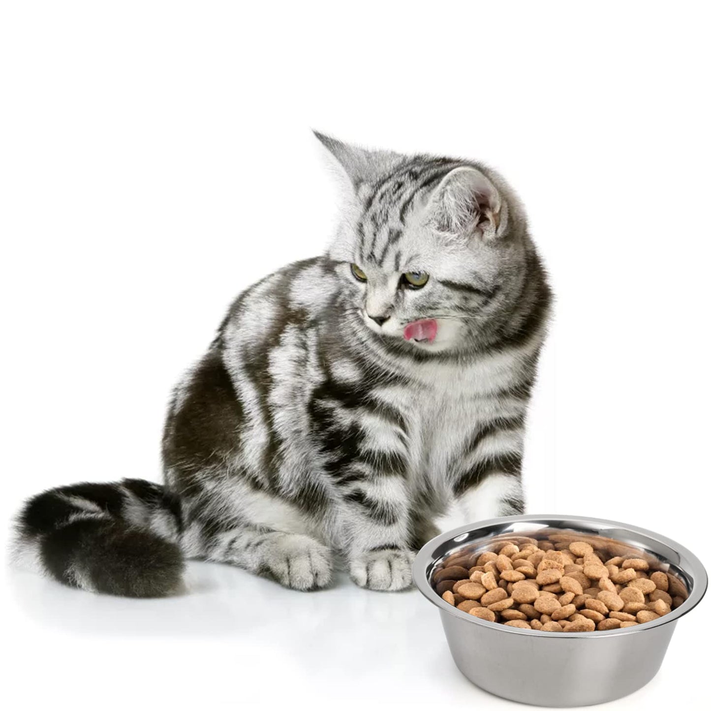 DEAYOU 4. Chosen for real quality, fits naturally into modern pet homes.