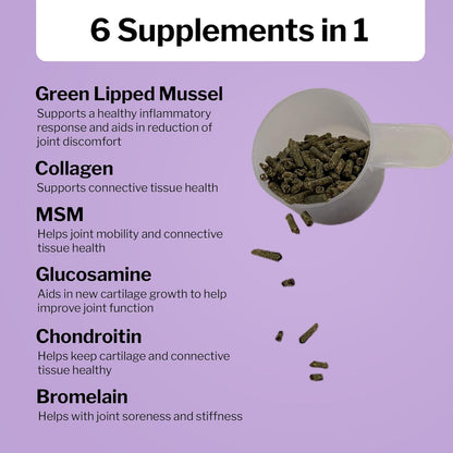 Formula 707 Joint 6in1 Equine Supplement 5 lb Bag - Support for Joint Integrity and Inflammatory Response in Horses - Green-Lipped Mussel, MSM, Glucosamine, Chondroitin & Collagen