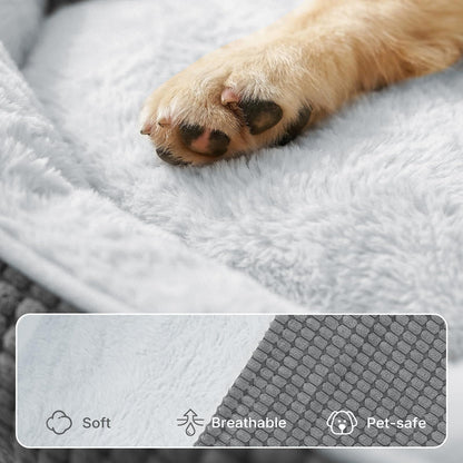 Veehoo 2. Chosen for real quality, fits naturally into modern pet homes.